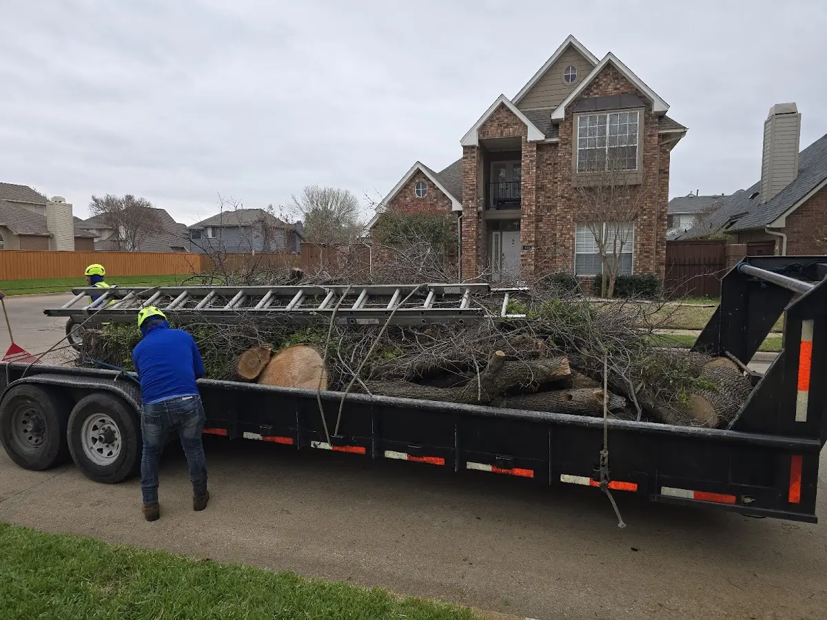 Expert Tree Pest Control with proper safety equipment in Englewood Cliffs